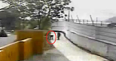 盧武鉉生前最后視頻曝光 自殺前場景得以再現(xiàn)