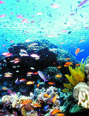 圖：“全球最好工作”贏家上任 感覺像大使