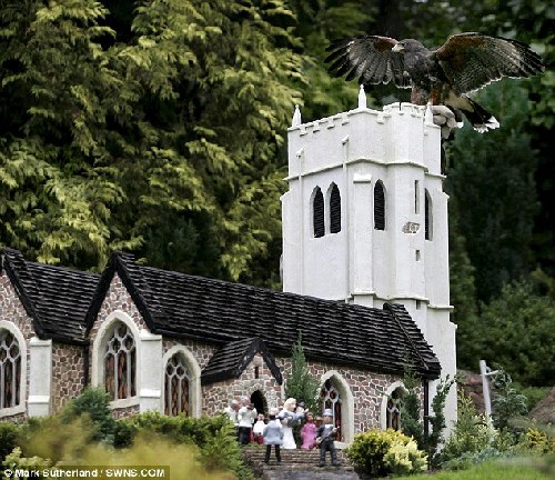 英國(guó)名勝雇鷹作“保安”