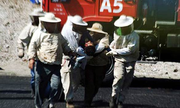 土耳其運蜂車出事故 成千上萬蜜蜂蜇人致一死數十傷
