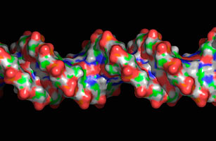 美《時代》周刊盤點年度十大科技發現
