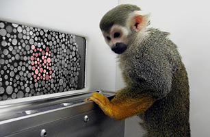 美《時代》周刊盤點年度十大科技發現