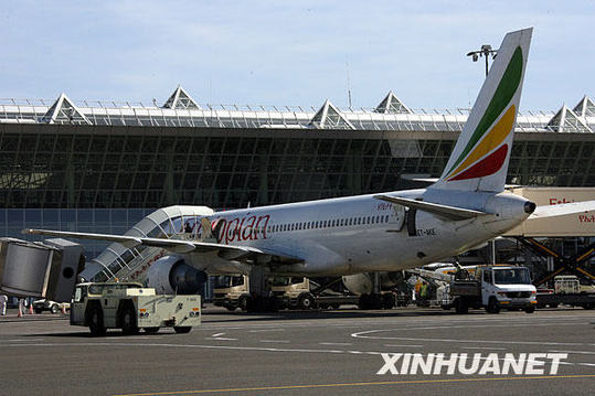 埃航客機失事已找到34具遺體 原因仍待調查