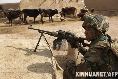 多國部隊進攻塔利班 馬爾賈之戰考驗美對阿戰略