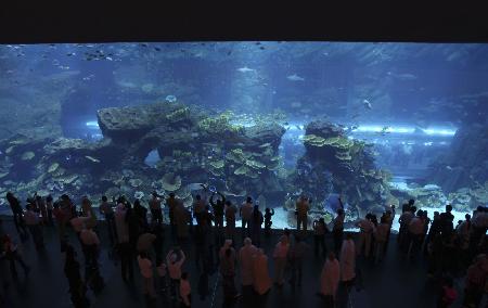 迪拜購物中心“發(fā)大水” “沙漠神話”再遭重創(chuàng)