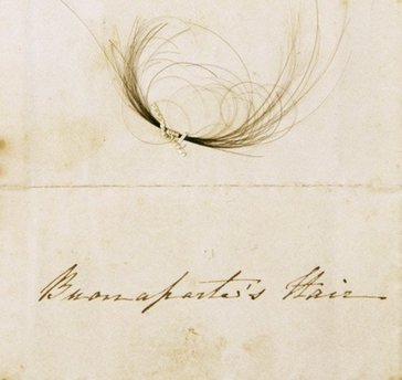 拿破侖頭發驚現悉尼市政廳 來龍去脈無人知