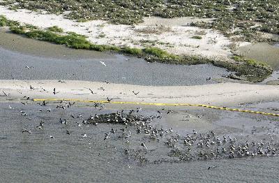 墨西哥灣原油泄漏速度超預期 受災百姓對政府很失望
