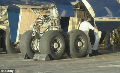 羅男子“差錢”棲身飛機起落架 高空犯險奇跡生還