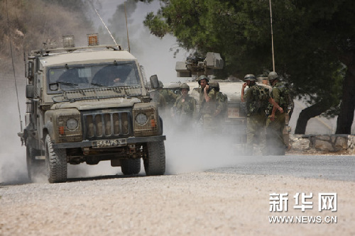 目擊者:一棵樹引起的紛爭?