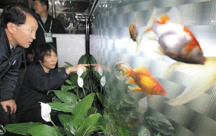 G20：金魚當“警衛”酒店搶商機 倡導單雙號限行