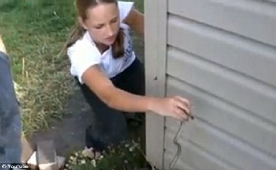 美國一房產被上千條蛇“纏身” 大幅降價難脫手