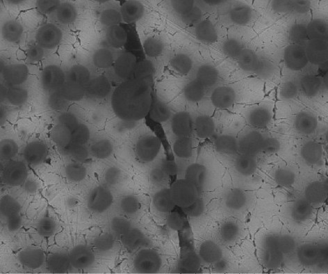 英攻克液態氫保存難題 3年內汽車將“喝”上人造汽油