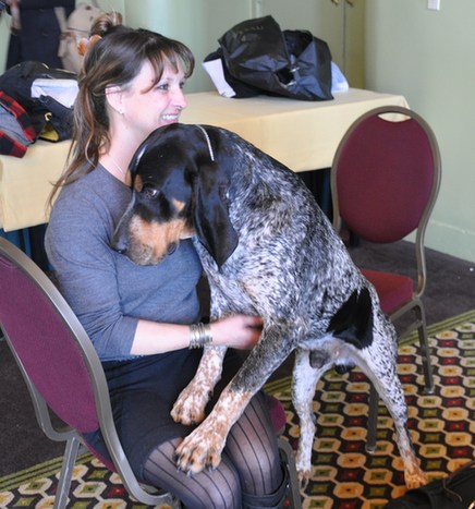 135屆西敏寺狗展情人節開幕 6新品種提前亮相