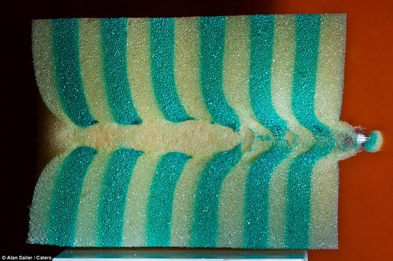 讓子彈在家里飛！美攝影師自制設備拍炫酷照片