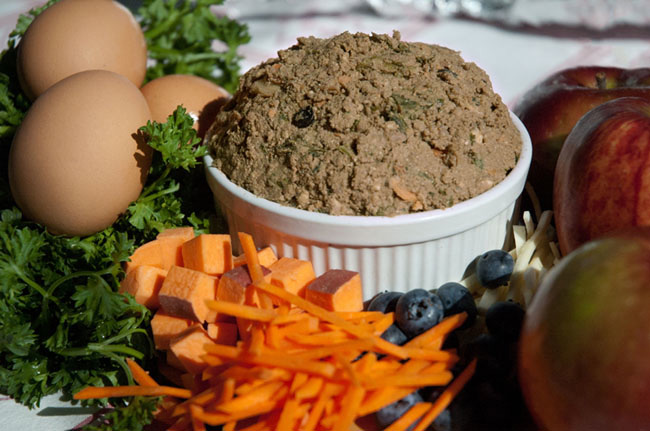 為推銷寵物食品 紐約兩女子吃狗糧一個月