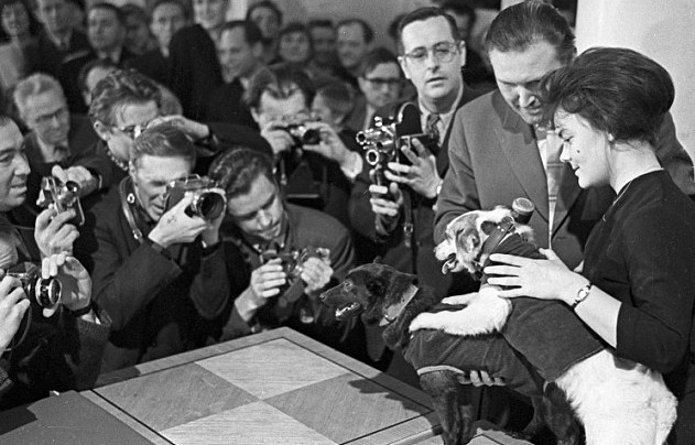 俄傳奇航天器將被拍賣 曾帶太空狗上天為加加林打前站