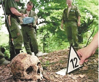 背景資料：斯雷布雷尼察大屠殺