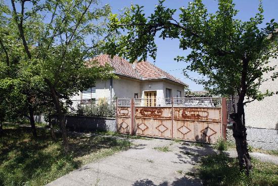 塞將調查姆拉迪奇“保護傘” 百萬歐元懸賞金充公