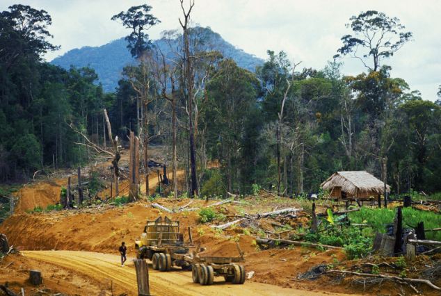 包裝紙?jiān)蟻碜杂∧釤釒в炅?芭比娃娃成環(huán)保“殺手”