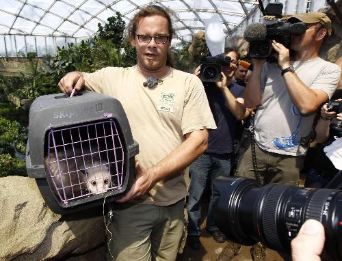 德國“預測帝”對眼負鼠遷新居 7月1日首次見游客