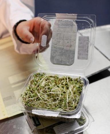 德國稱基本確認“毒豆芽”是大腸桿菌疫情元兇