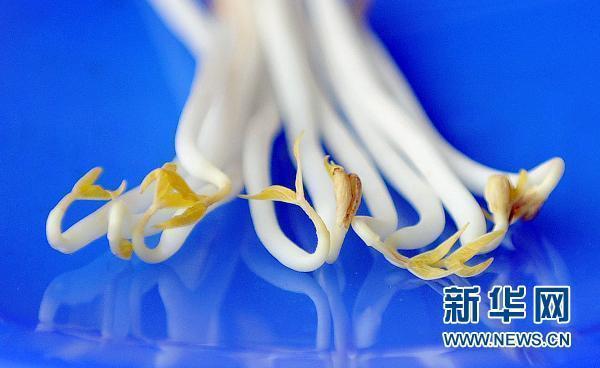 德國稱基本確認“毒豆芽”是大腸桿菌疫情元兇