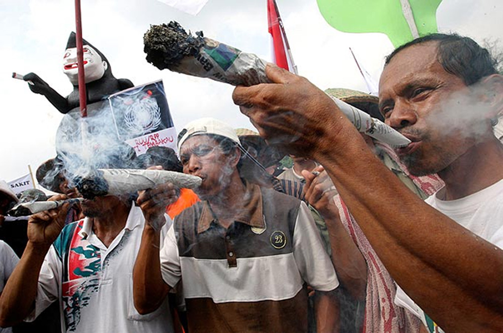 印尼煙農(nóng)抽1米長“巨煙” 抗議政府禁煙令(圖)