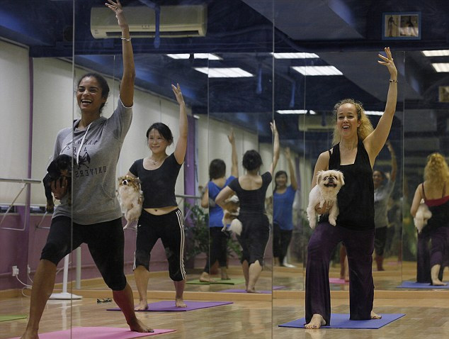 香港等地興起“狗狗瑜伽” 促進主人和寵物交流溝通