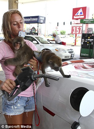 美國婦女自認(rèn)“猴媽” 飼養(yǎng)5只獼猴形影不離甚至同睡