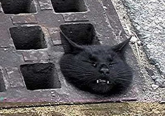 動物也瘋狂！ 糗事連連各種被“卡”