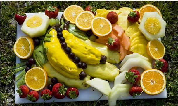 歐洲最老猩猩不喜浪漫 過50歲生日狂吃蛋糕丟棄鮮花