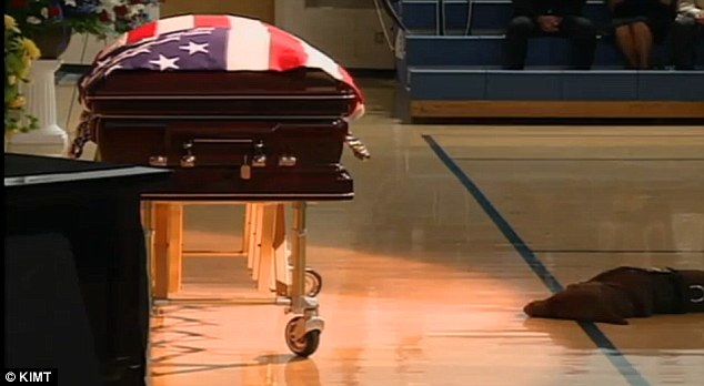 美軍士兵在阿陣亡 狗“兒子”傷心欲絕為其“守棺”