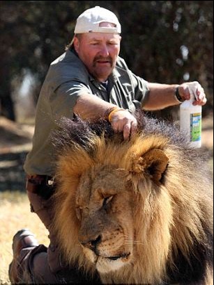 圖片新聞：英國(guó)50歲馴獸師演繹“與獅共舞”