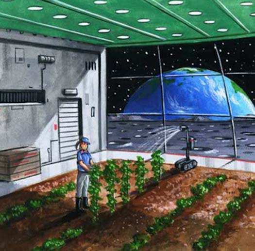 看上去很酷！達美樂比薩公司拋出在月球開分店計劃