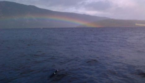 尼斯湖再現(xiàn)水怪？狀如“潛在水下的鳥”