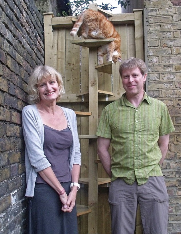 愛貓罹患關節炎 英國貓主打造特制樓梯便利出行