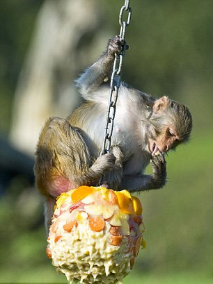 “秋老虎”發(fā)威 英國(guó)10月高溫打破歷史紀(jì)錄