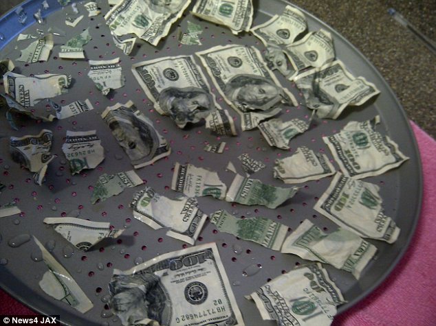 美貪吃小狗吞下1000美元 主人實施催吐挽救900