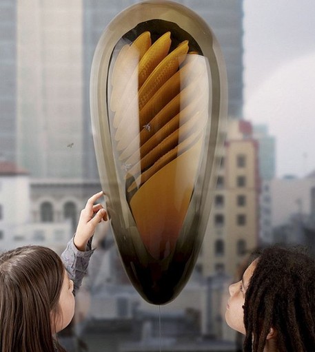 飛利浦提出“城市蜂房”概念 可在家養蜂采蜜甜蜜棲居