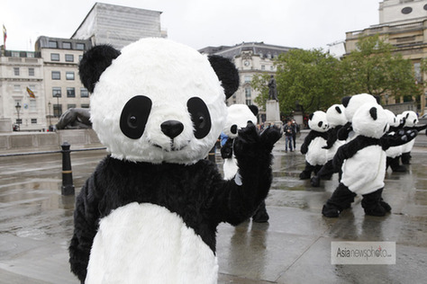 108名“熊貓人”倫敦打太極 呼吁人們保護野生動物