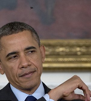 圖:奧巴馬白宮活動(dòng)再遭蒼蠅“攪局”