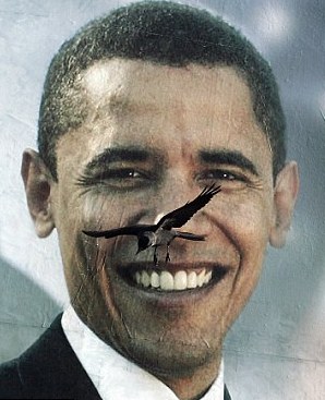 圖:奧巴馬白宮活動(dòng)再遭蒼蠅“攪局”