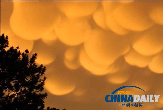 組圖：美國密歇根出現罕見橙色乳房云 美不勝收