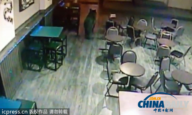 黑熊大搖大擺闖進(jìn)美國(guó)酒吧 顧客竟全然不知