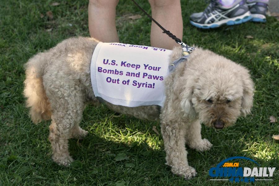 美國多地反戰(zhàn)游行 要求國會否決軍事打擊敘利亞提案