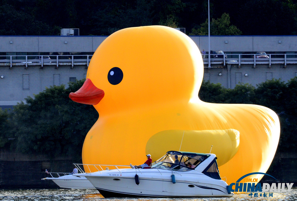 匹茲堡市迎來第一只美國版超萌“大黃鴨”(組圖)