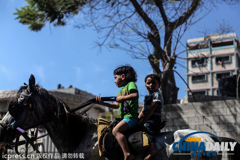 巴勒斯坦兒童宰牲節(jié)大玩槍?xiě)?zhàn)游戲