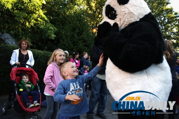 美國華盛頓一動物園重開 大熊貓“添添”可愛亮相（組圖）