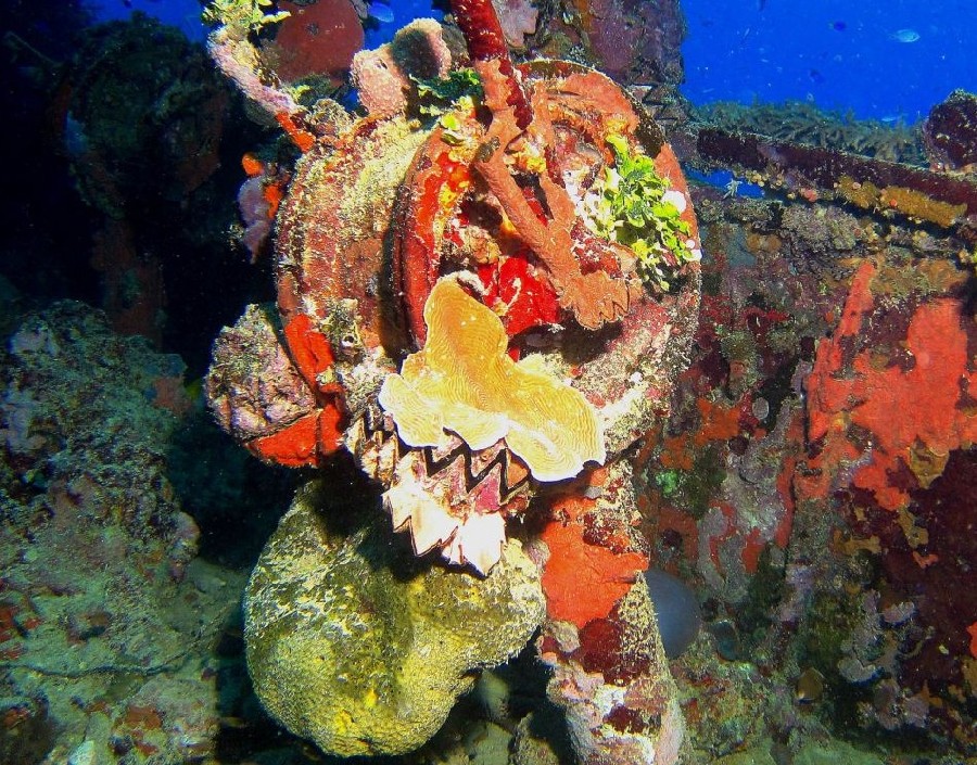 英女攝影師探秘最大水下二戰船舶墓地 日軍曾駐扎