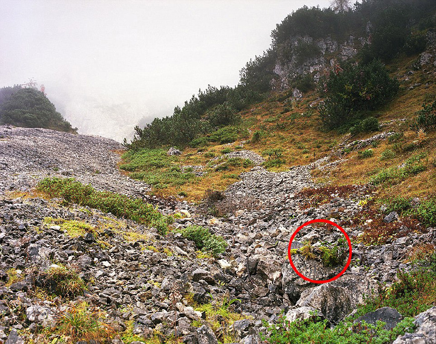 德國軍隊狙擊手藏身術(shù)：與自然融為一體